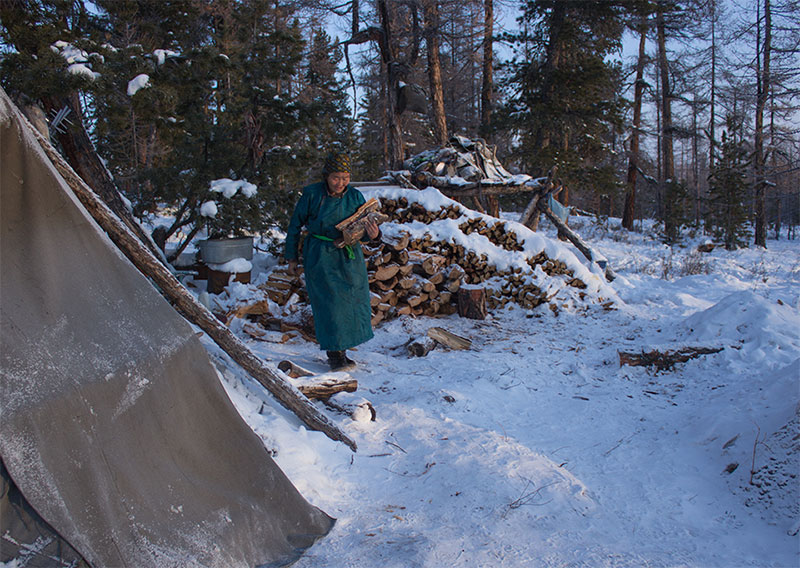 mongolia tsaatan people 